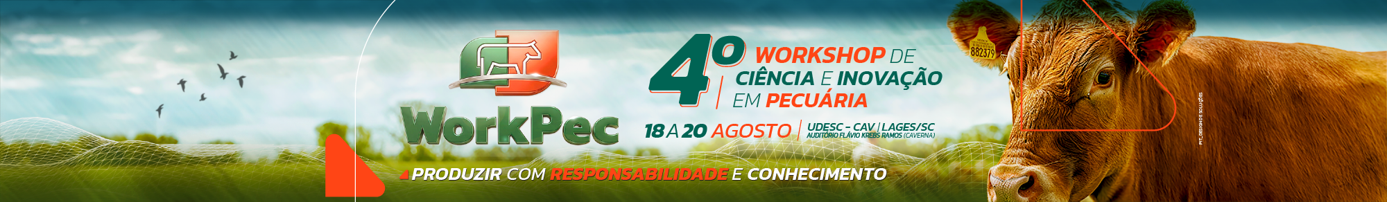 Imagem de cabeçalho de páginas internas